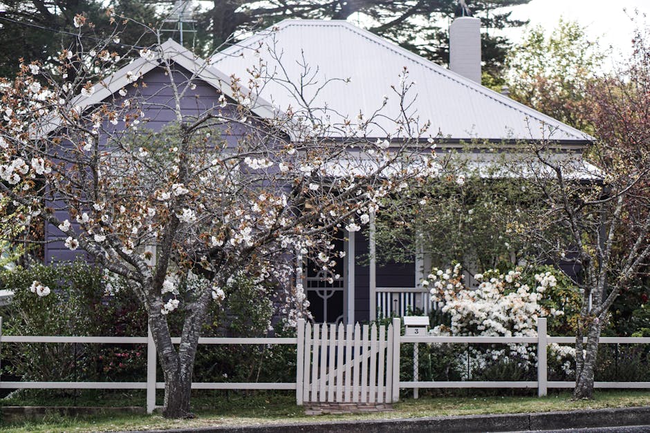 North Adelaide heritage home with bluestone path and established garden