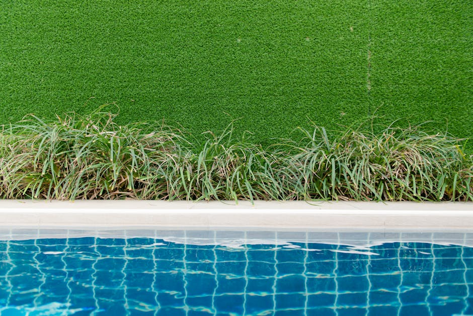 Adelaide backyard with artificial turf, pavers and pool fencing